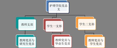 taptap点点官方网站党总支介绍